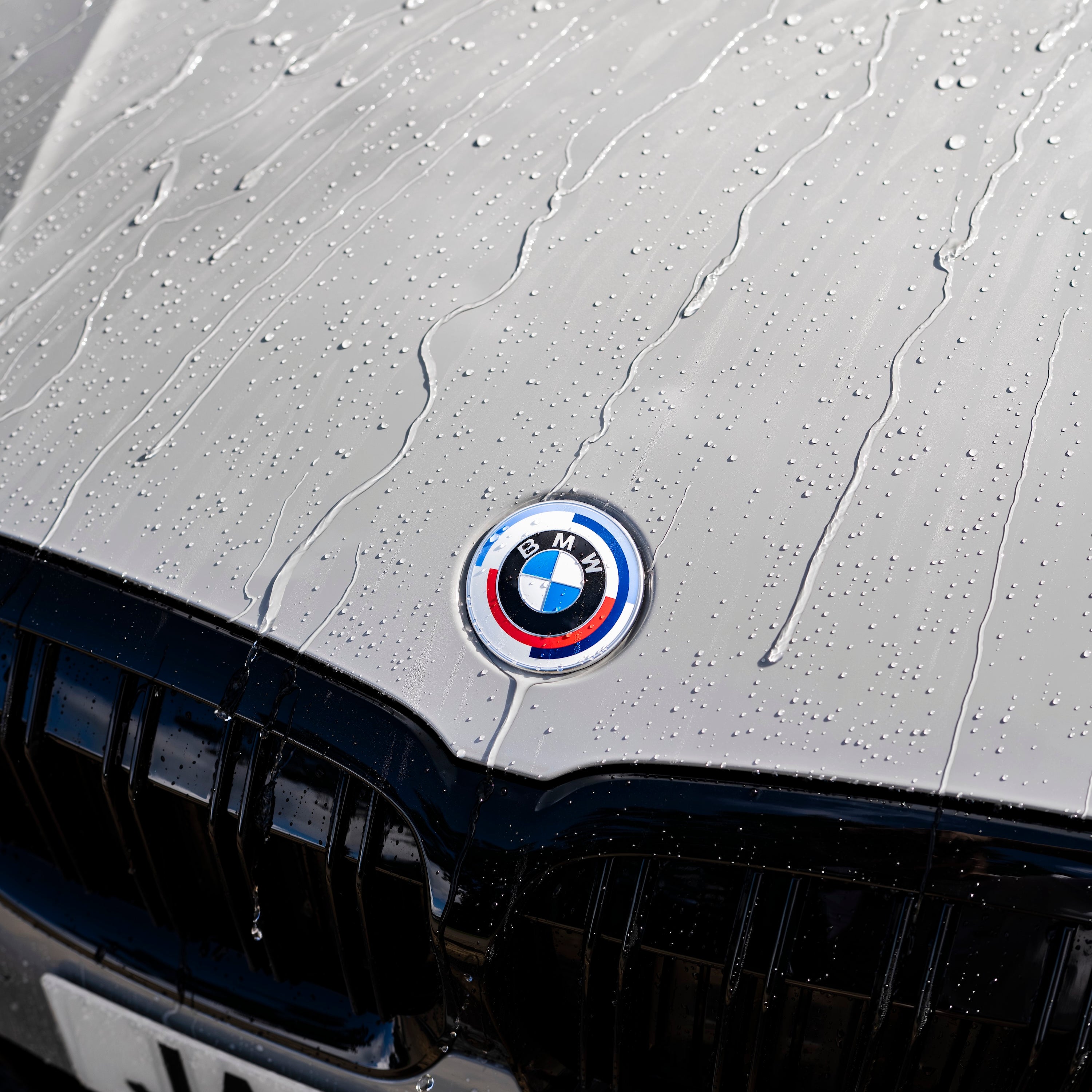 AM-Detailing